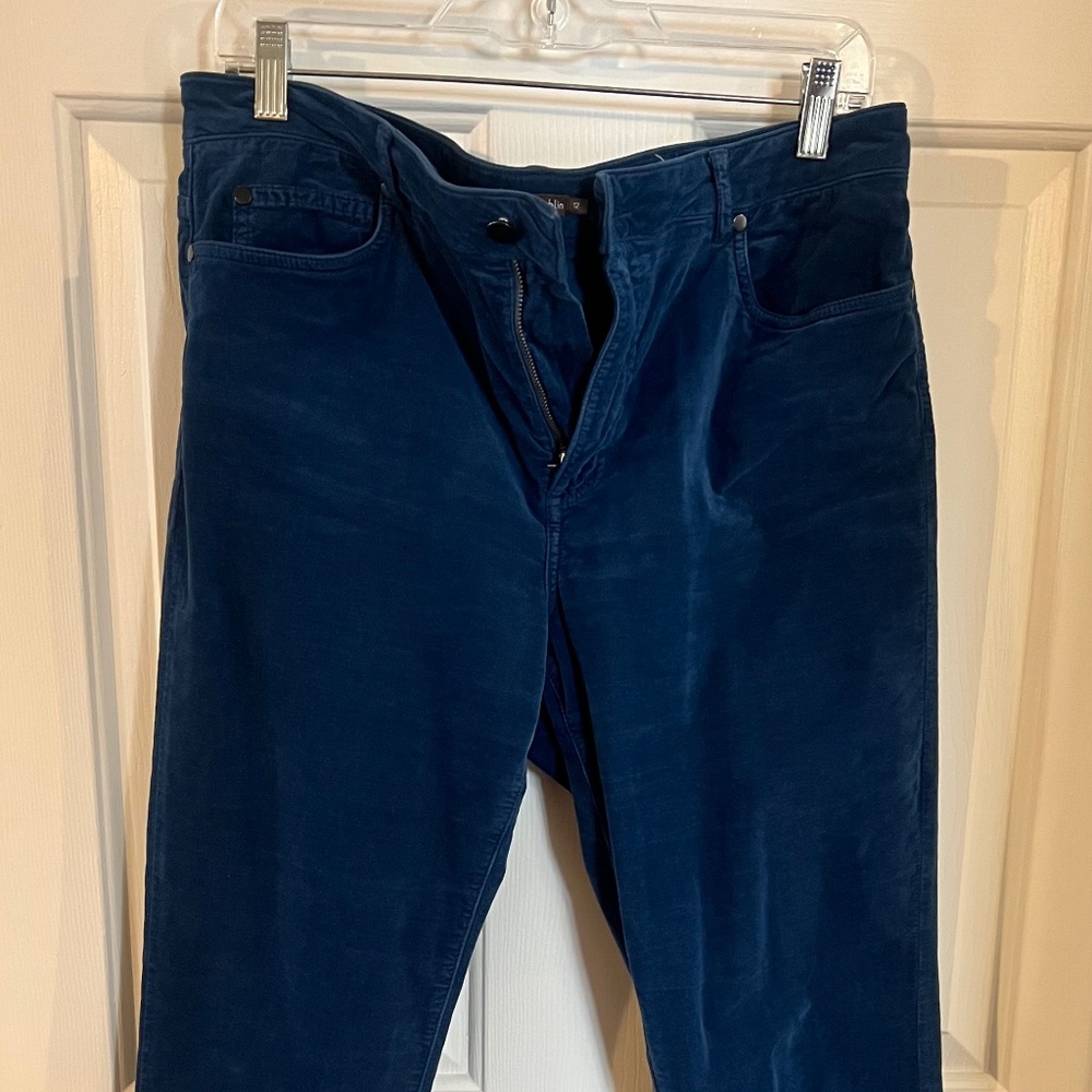 Blue Velvet Pants/Jeans